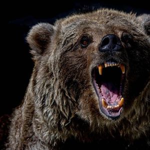 Bitcoin's Short Term Momentum Flips Bearish; Support Under $65K