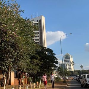 Zimbabwe Is Seeking Comments on the Crypto Industry: Report