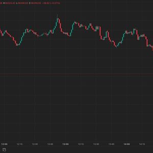 Bitcoin Drops as German Government Moves Another $500M of Assets