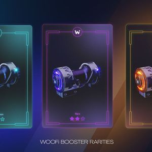 Decentralized Crypto Exchange WOOFi Uses Gaming Style NFTs to Boost DeFi
