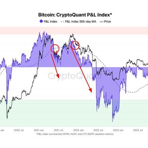 Bitcoin at Pivotal Point as Bear Market Beckons: Onchain Data