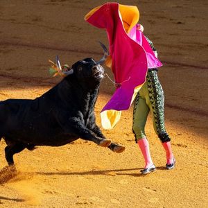 The Anatomy of a Crypto Bull Market