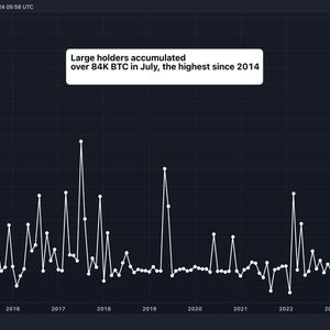 Large Bitcoin Holders Added $5.4B in BTC in July, Data Show
