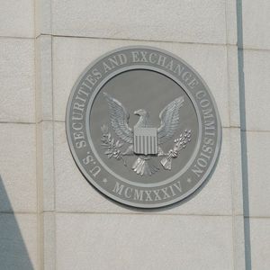 U.S. SEC Charges Two Brothers in $60M Ponzi Scam Using a Crypto Platform