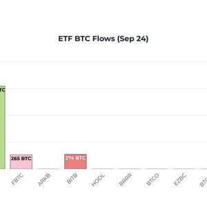 Bitcoin ETFs Remove Nearly Five Times Daily Supply as Ethereum ETFs See Strong Rebound