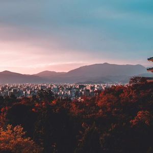 Metaplanet Buys Another 107 Bitcoin, Pushing Stock-BTC Ratio to 20%