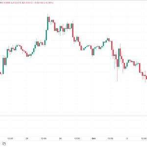 XRP's 'Bearish Skew' Persists Amid 10% Price Slide Following SEC Appeal and ETF Filing