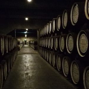 Bitcoin Miner Marathon's Anduro Unveils Tokenization Platform, Starts With Whiskey