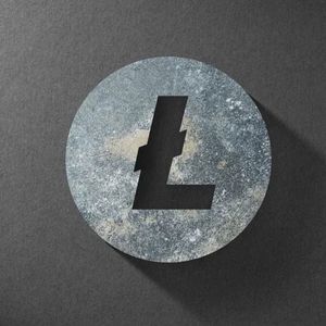 Ex-Valkyrie Founder’s Canary Capital Group Files for First Litecoin ETF
