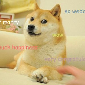 Dogecoin Pup’s IP Owner Bags Rights to Neiro, Putting Namesake Memes in Focus