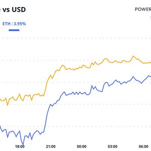 Crypto Daybook Americas: Massive Selloff Doesn't Stop Bitcoin Institutional Adoption