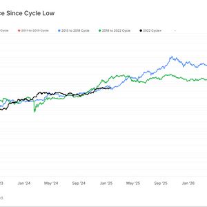 Bitcoin Could Cross $1M by Year-End if It Continues to Follow 2017 Cycle: Van Straten