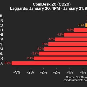 CoinDesk 20 Performance Update: ADA Drops 3.2%, Leading Index Lower From Monday