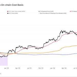 Bitcoin's Bull Run Could be Tested if BTC Falls Below $91K: Van Straten