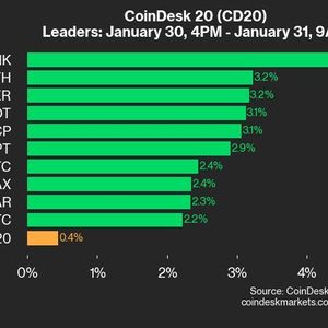 CoinDesk 20 Performance Update: LINK Gains 4.6% as Index Inches Higher From Thursday