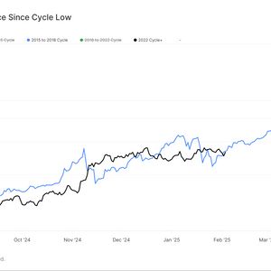 Bitcoin Still Following Previous Cycle's Trajectory Despite Price Drop: Van Straten