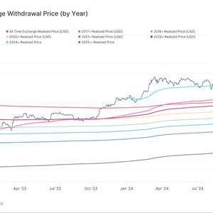 Bitcoin Drops Below Key 2025 Realized Price Level, Raising Risk of Further Downside: Van Straten