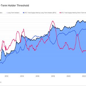 Bitcoin Short-Term Holders Now Possess Over 4M BTC, Shows Cycle Has More Room To Run: Van Straten