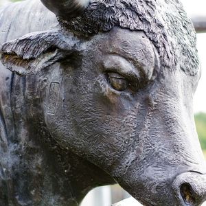 Bitcoin Forms Bullish RSI Divergence Just in Time for U.S. CPI