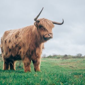 Privacy-Focused Zcash Tops Key Resistance Above $40 to Flash Bull Signal