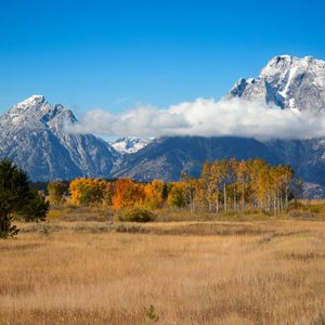 Wyoming Taps Inca Digital to Secure First State-Issued Stablecoin Ahead of July Launch
