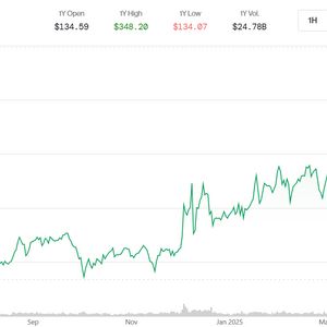 Key Reasons Monero Surge Continues Even as Bitcoin Bulls Take a Breather