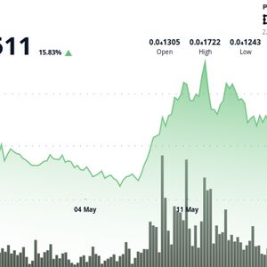 SHIB Holds Strong Above Key Support as Volume Spikes Nearly 4x