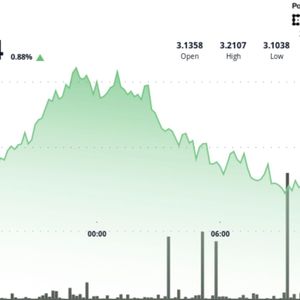 TON Surges 3.7% in V-Shaped Recovery After Finding Strong Support at $3.11