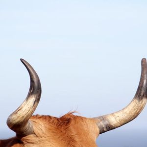 Crypto Treasury Strategy News: Hong Kong's Reitar and VivoPower