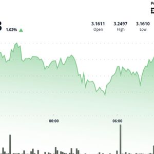 TON Struggles Against $3.24 Resistance Level, Settles at $3.18