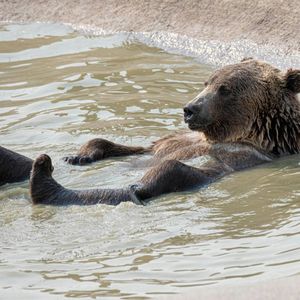 Crypto Daybook Americas: Bitcoin Faces Bearish June Seasonality as ETF Flows Slow