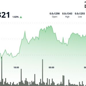 Shiba Inu Whale Transactions Over $100K Plunge as U.S. Inflation Data Looms