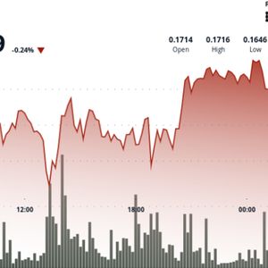 Dogecoin Steady But Flashing 'Oversold' in Signal for Bearish Bets