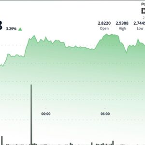 TON Up 3% After Volatile Session, Establishing New Support Level