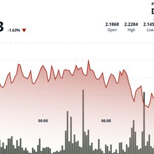 NEAR Protocol Plunges 4% Before Staging Recovery Amid Market Volatility