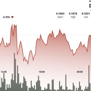 Dogecoin Bulls Defend 16 Cent Support as Elon Musk’s X Payments Speculations Loom
