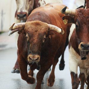 Crypto Daybook Americas: Bitcoin Retreats From $108K, But Bulls Aren’t Done