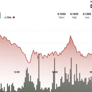 Dogecoin Finds Support Around 16 Cents After 6% Drop