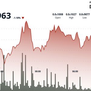 PEPE Fades 100-day Average Breakout as 'Distribution' Continues