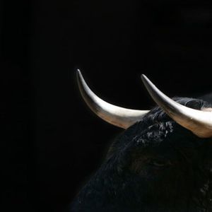 Bitcoin Bulls Bank on Fed's 'Stealth' Rate Cuts: Crypto Daybook Americas