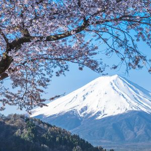 Japan's SBI to Let Users Swap Credit Card Points for Bitcoin, Ether, and XRP