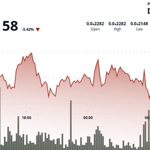 BONK Slides 6% as Sellers Dominate, Despite Growth of Bonk.fun