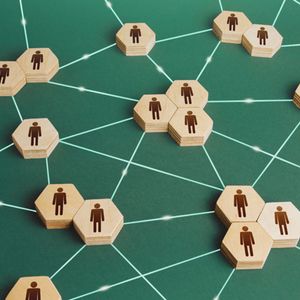 Is There a Future for DAOs?