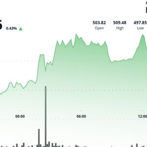 Bitcoin Cash Holds Above $500 After Volume-Driven Morning Rally