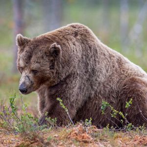 Bears Lose $400M to Liquidations, Largest Since May, as BTC, ETH, SOL Spike Higher