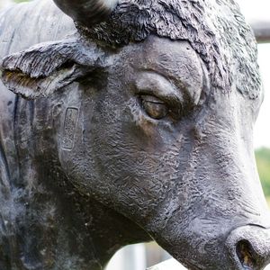 This One Metric Suggests Bitcoin Has Plenty of Room Left to Run