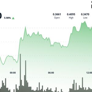 Stellar Performance From XLM as It Posts Top 24H Percentage Gain Among Top 20 Cryptos