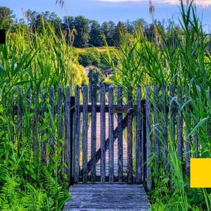Gated Communities Are Actually Great for Crypto—Marc Vanlerberghe