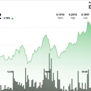 DOGE Prints Bullish Setup With Breakout, Pullback, and Support at $0.196