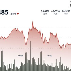 BONK Holds Key Support as Volatility Grips Market